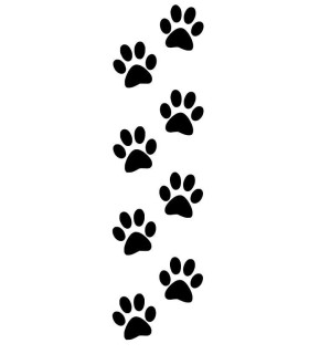 Stickers EMPREINTES DE CHIEN X4