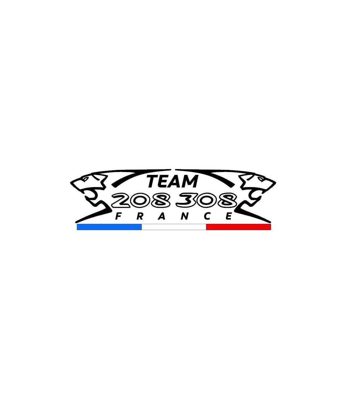 Stickers Team 208/308 France