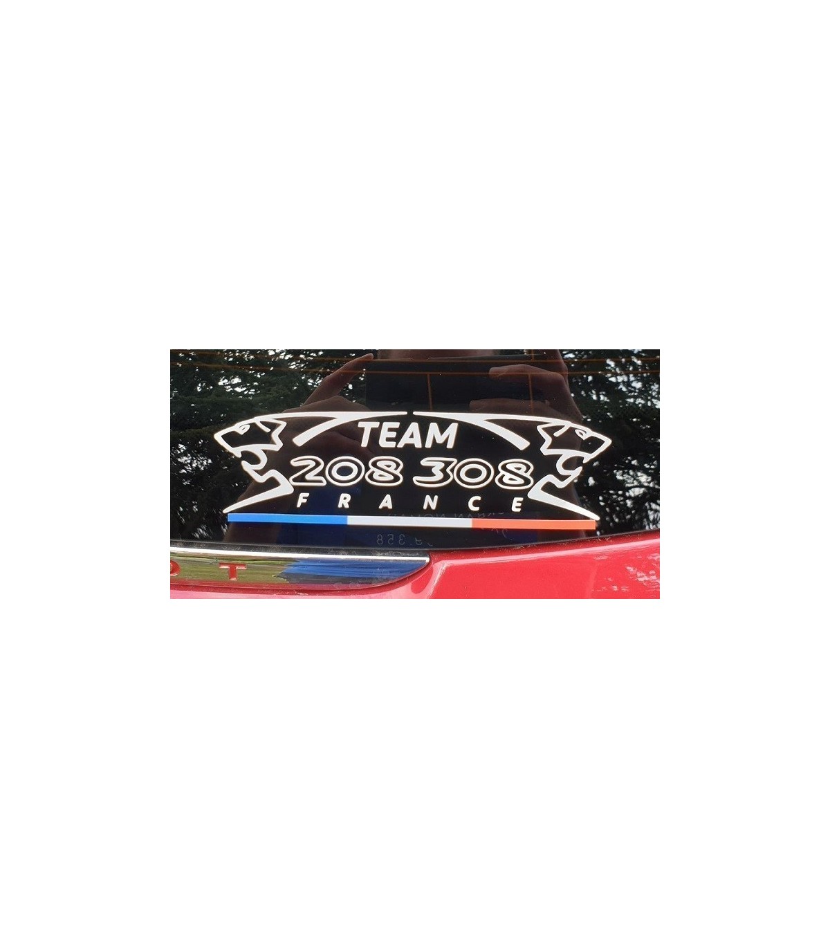 Stickers Team 208/308 France